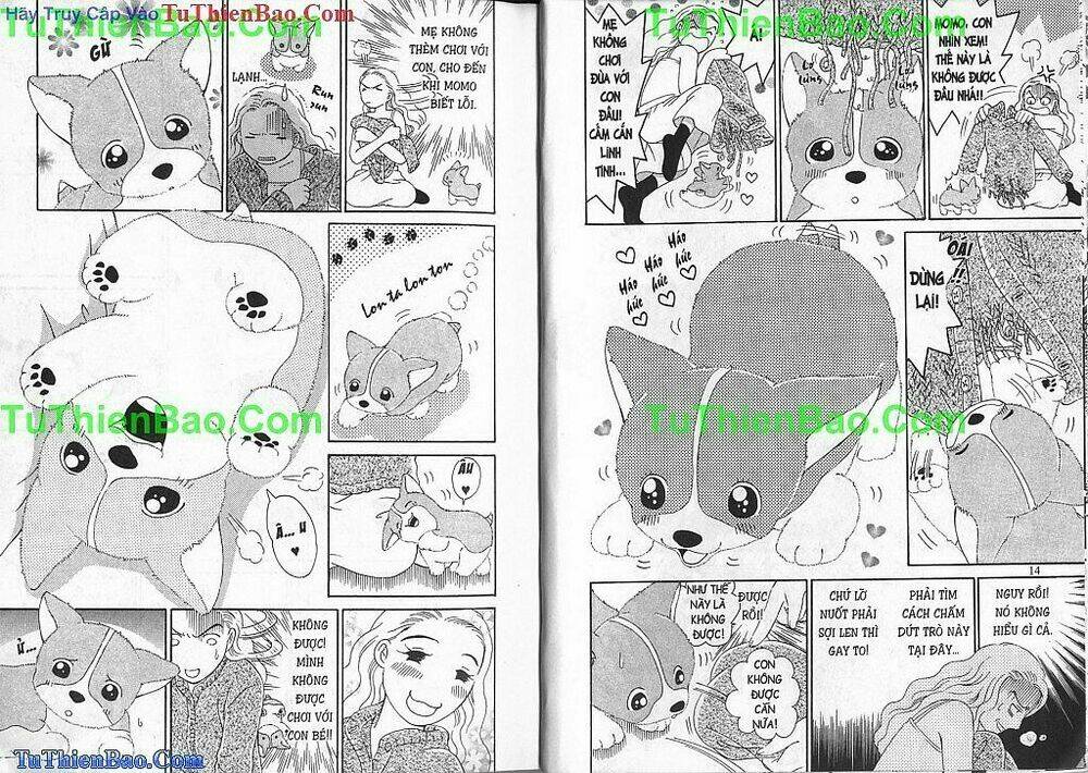 chó con mo mo chapter 2 8