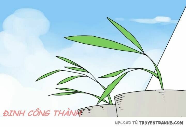 ứng dụng thẩm mỹ chapter 26 4