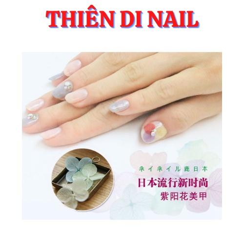 Hoa khô lụa cánh to trang trí móng, hoa khô lụa ẩn gel/bột
