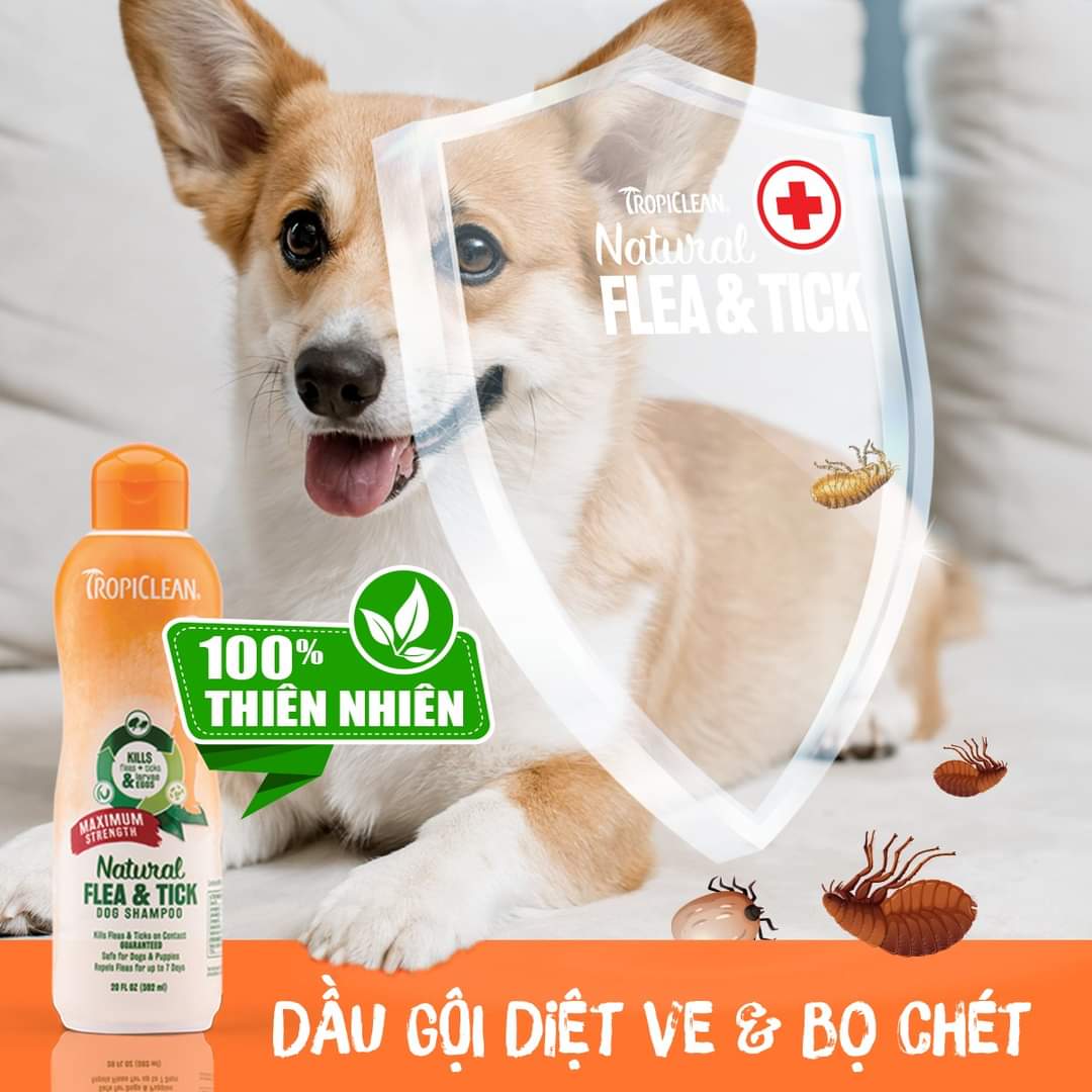 SỮA TẮM ĐẶC TRỊ VE, BỌ CHÉT TRÊN CHÓ (TROPICLEAN, MỸ)