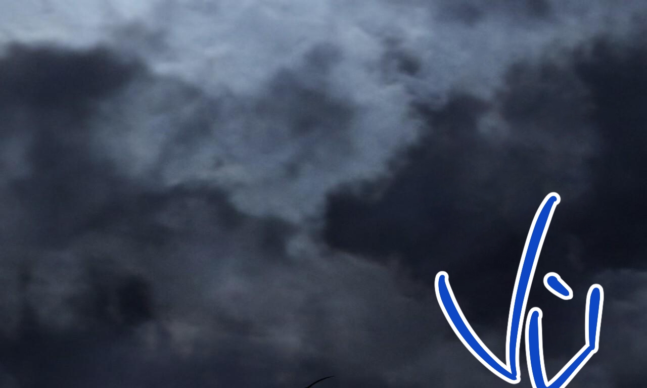 đàn thỏ của habibi chapter 55 21