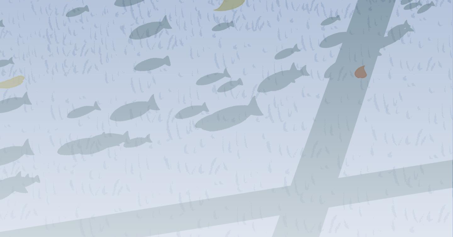 dear door chapter 133 264