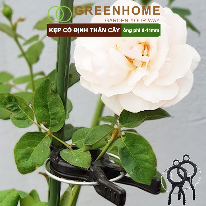 Kẹp cố định thân cây nhật bản, daim, Greenhome đỡ hoa, trái, tiện lợi, độ bền 5 năm