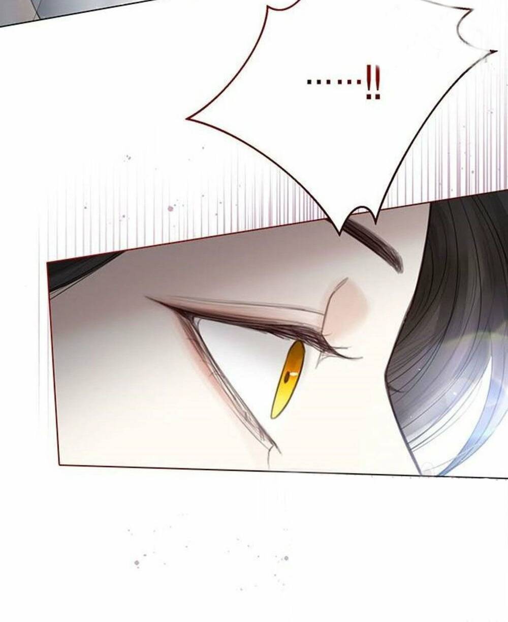 tôi sẽ từ bỏ vị trí hoàng hậu chapter 5 62