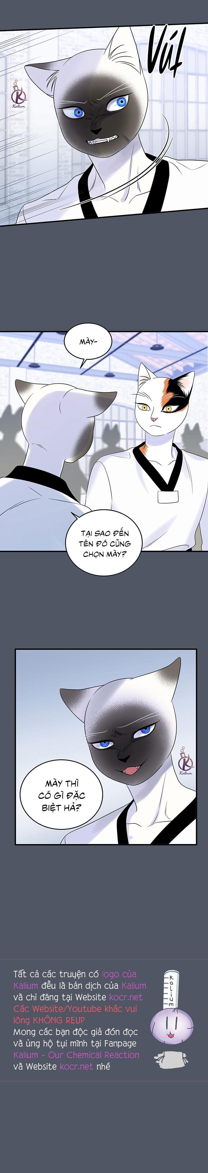 dự án xanh chapter 40 18