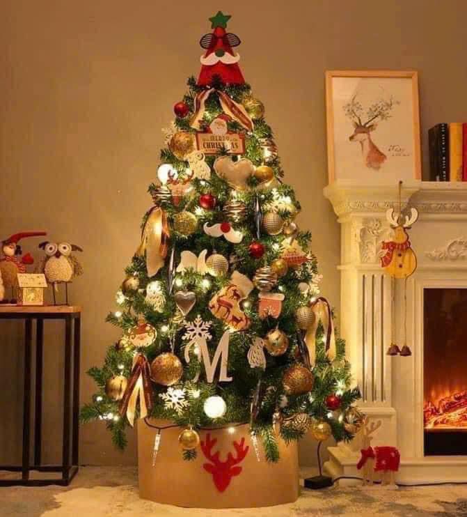 Đèn Nháy Noel, Giáng Sinh