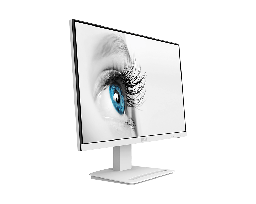 Màn Hình MSI PRO MP243XW 23.8 inch - Hàng Chính Hãng