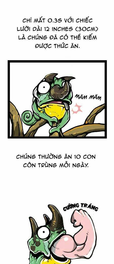 earth, human, and animal chapter 19 15