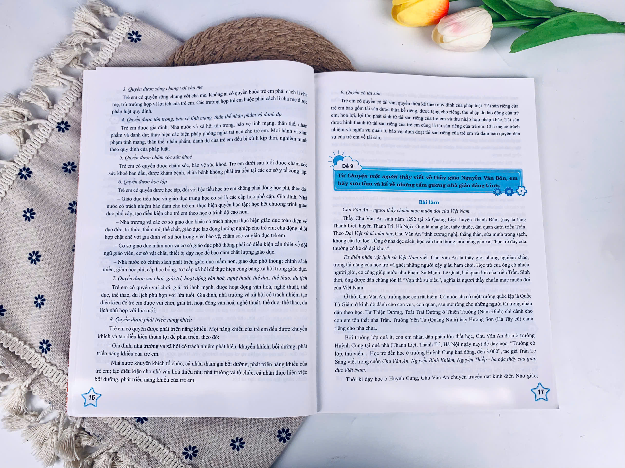 Sách - Những Bài Làm Văn Mẫu Lớp 5 - Cánh Diều - ndbooks