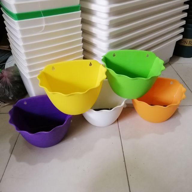 Combo 5 chậu ốp viền