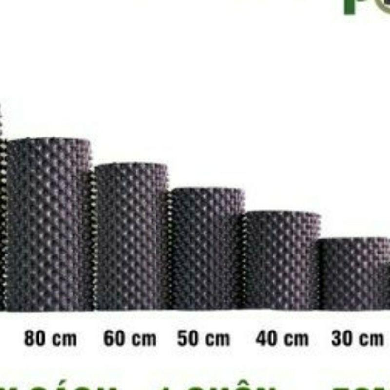 Bầu ươm V6 1 cuộn 60cm dài 50m dày 0.7mm