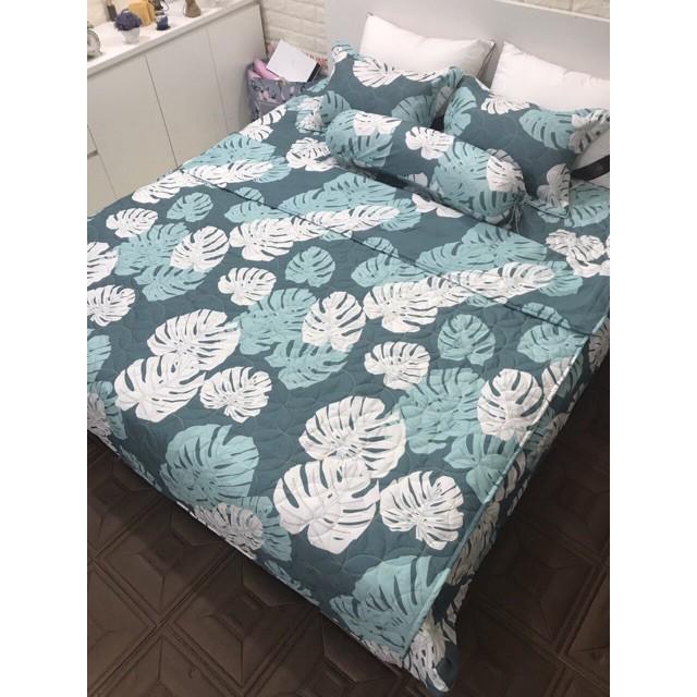 Bộ Ga Phủ Chần Bông Poly Cottong