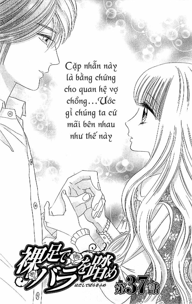 hoa hồng đỏ chapter 37 3