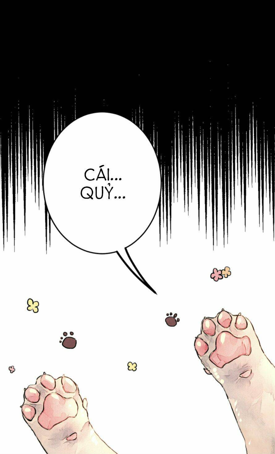 cún con đáng yêu của vị hoàng đế! chapter 0 10