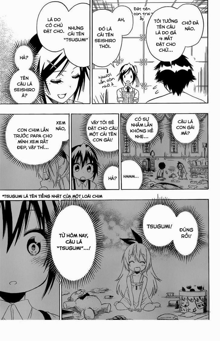 nisekoi - tình yêu giả tạo chapter 149 12