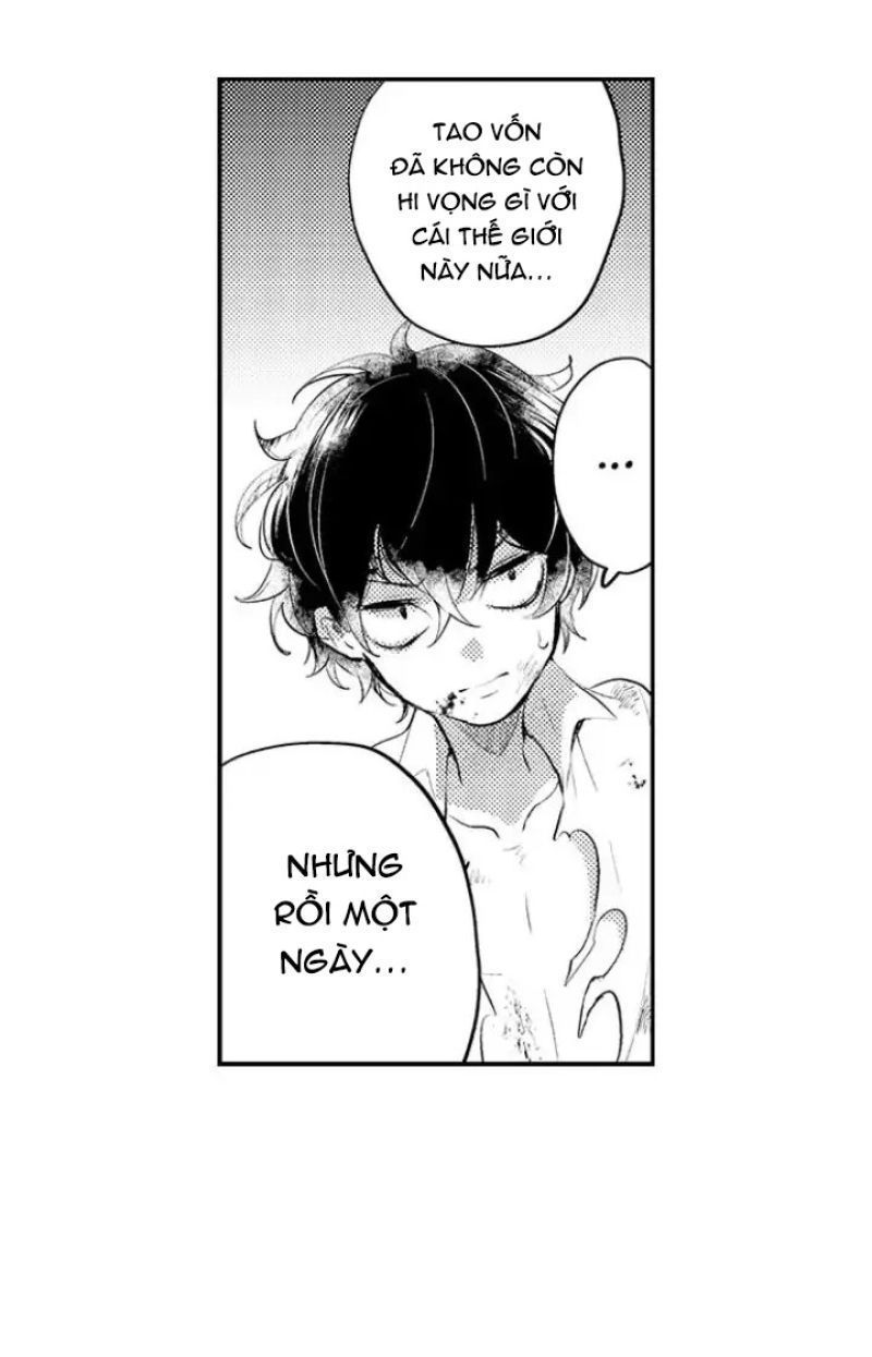 tiếng gọi của tình yêu sau trải nghiệm cận tử chapter 38 6