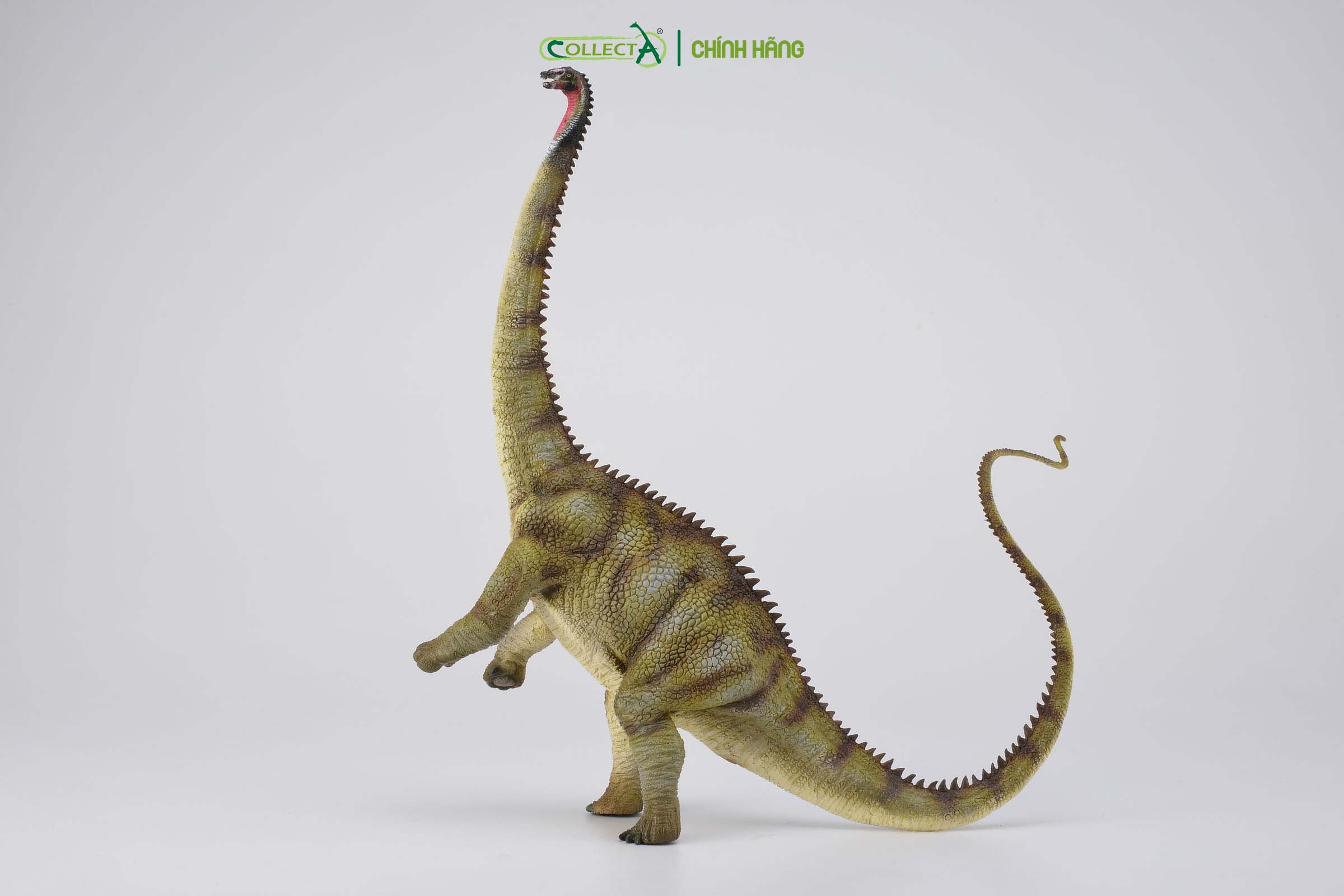 Mô hình thu nhỏ: Khủng Long Diplodocus - Diplodocus , hiệu: CollectA, mã HS 9654050 - Chất liệu an toàn cho trẻ - Hàng chính hãng