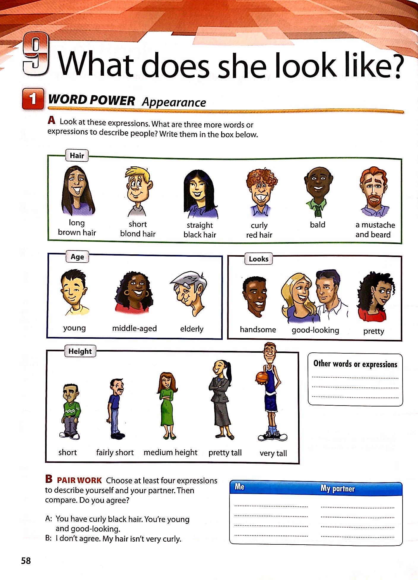 Interchange Level 1 Student's Book B with Self-study DVD-ROM