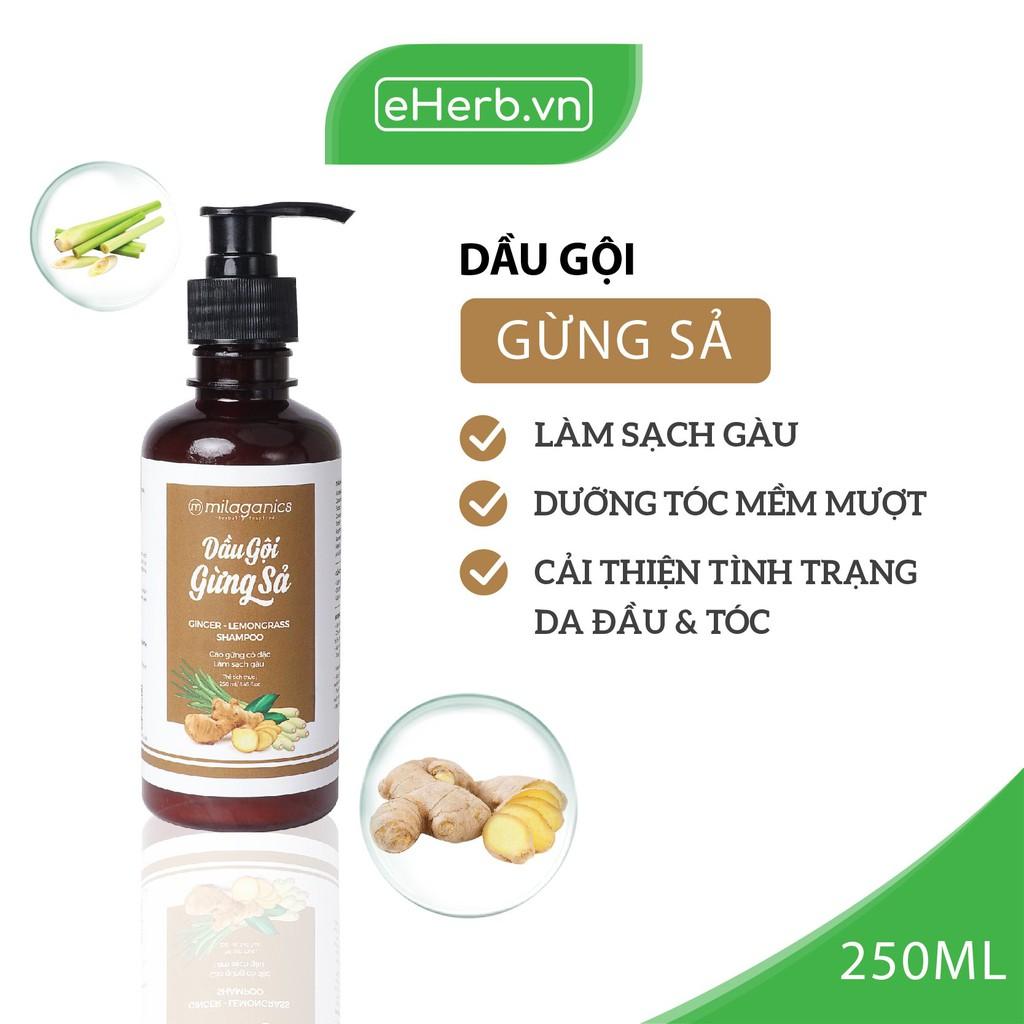 Dầu Gội Gừng Sả Làm Sạch Gàu, Dưỡng Tóc Mềm Mượt Từ Cao Gừng Cô Đặc MILAGANICS 250ml
