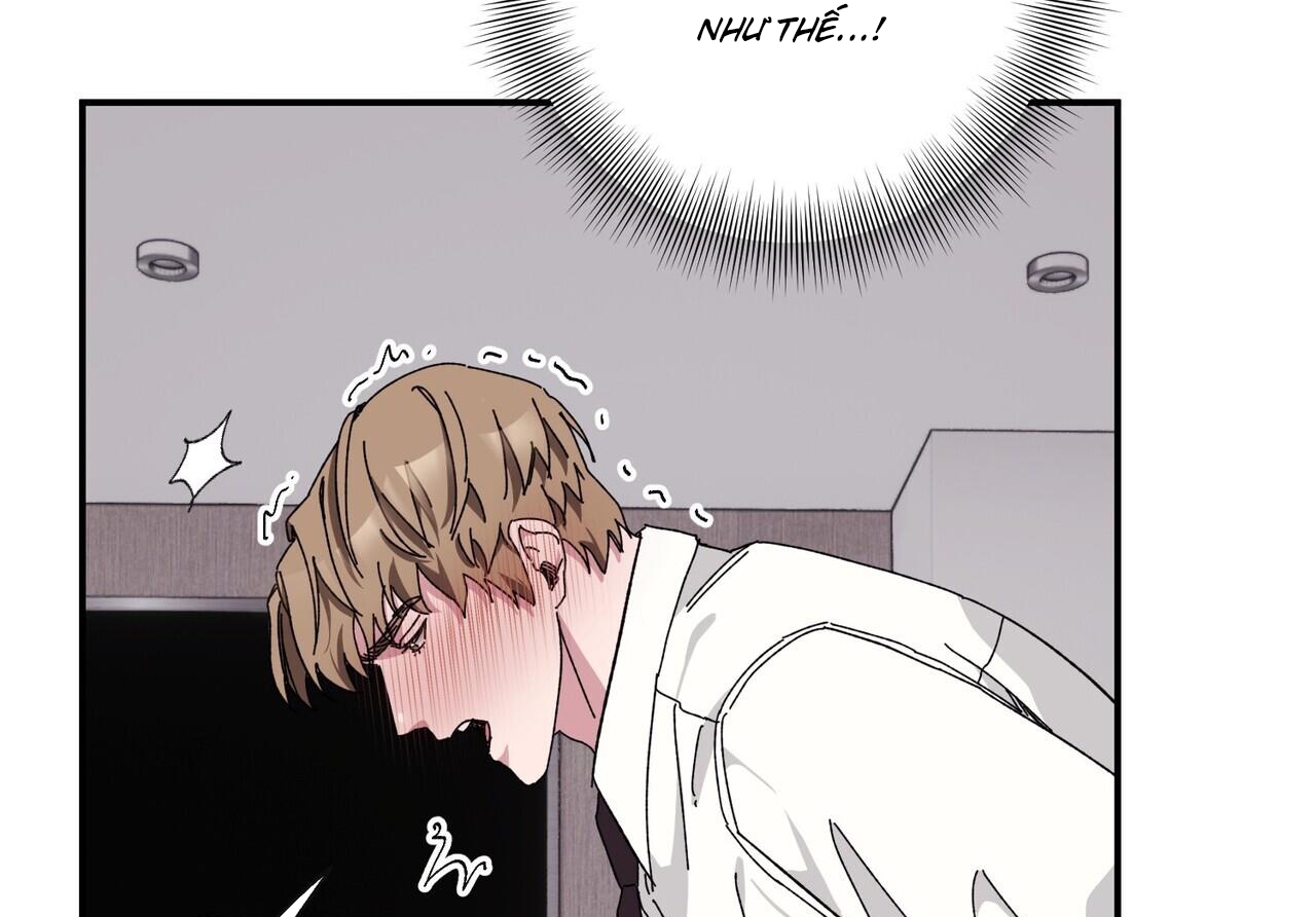 chàng dâu nhà họ kang chapter 34 79