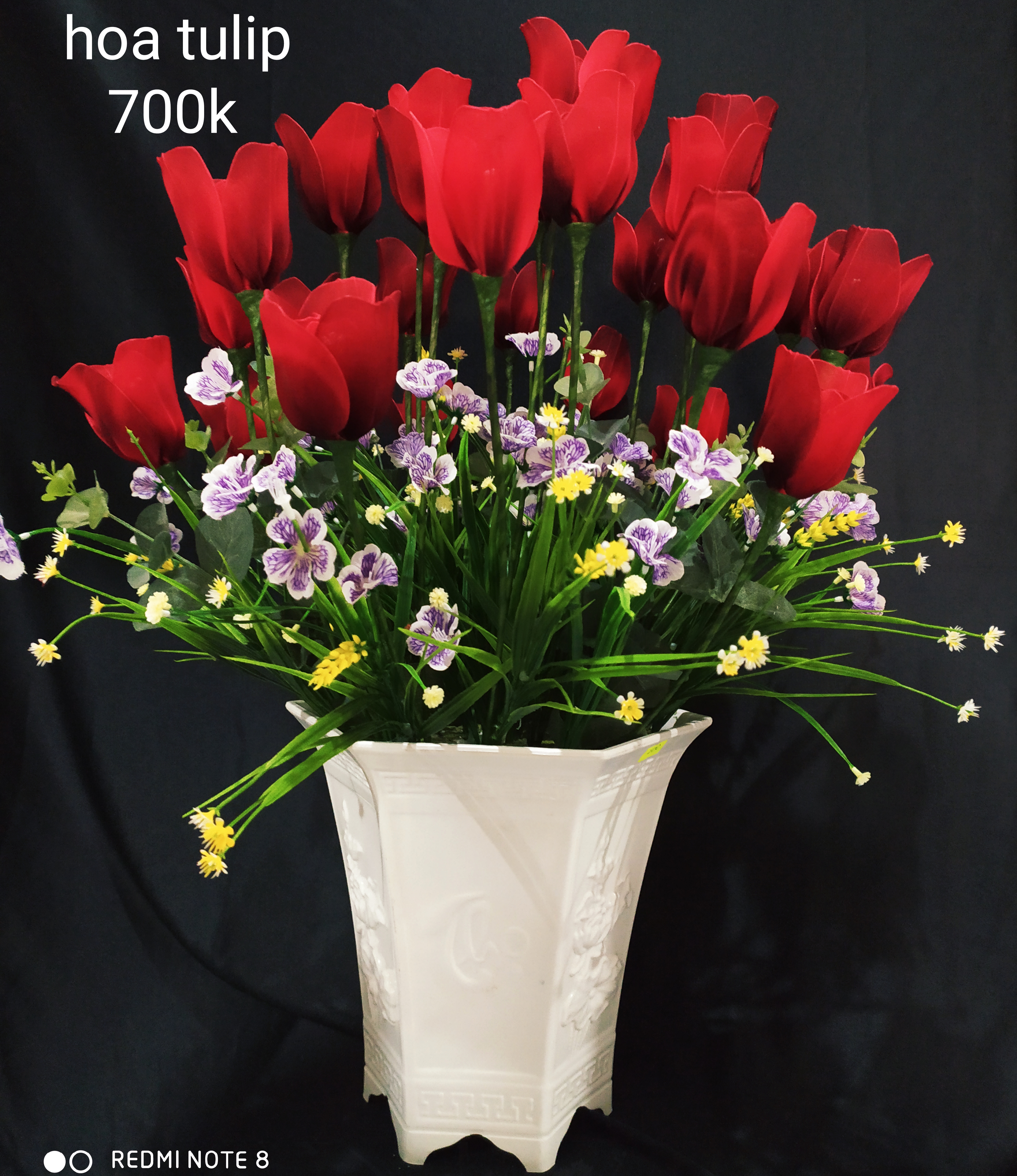 Hoa tulips