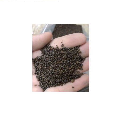 10kg Sỏi suối nâu lót nền bể thủy sinh