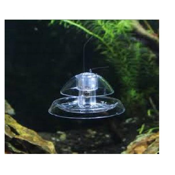 Bẫy ốc hại acrylic cho bể thủy sinh Snail Trap