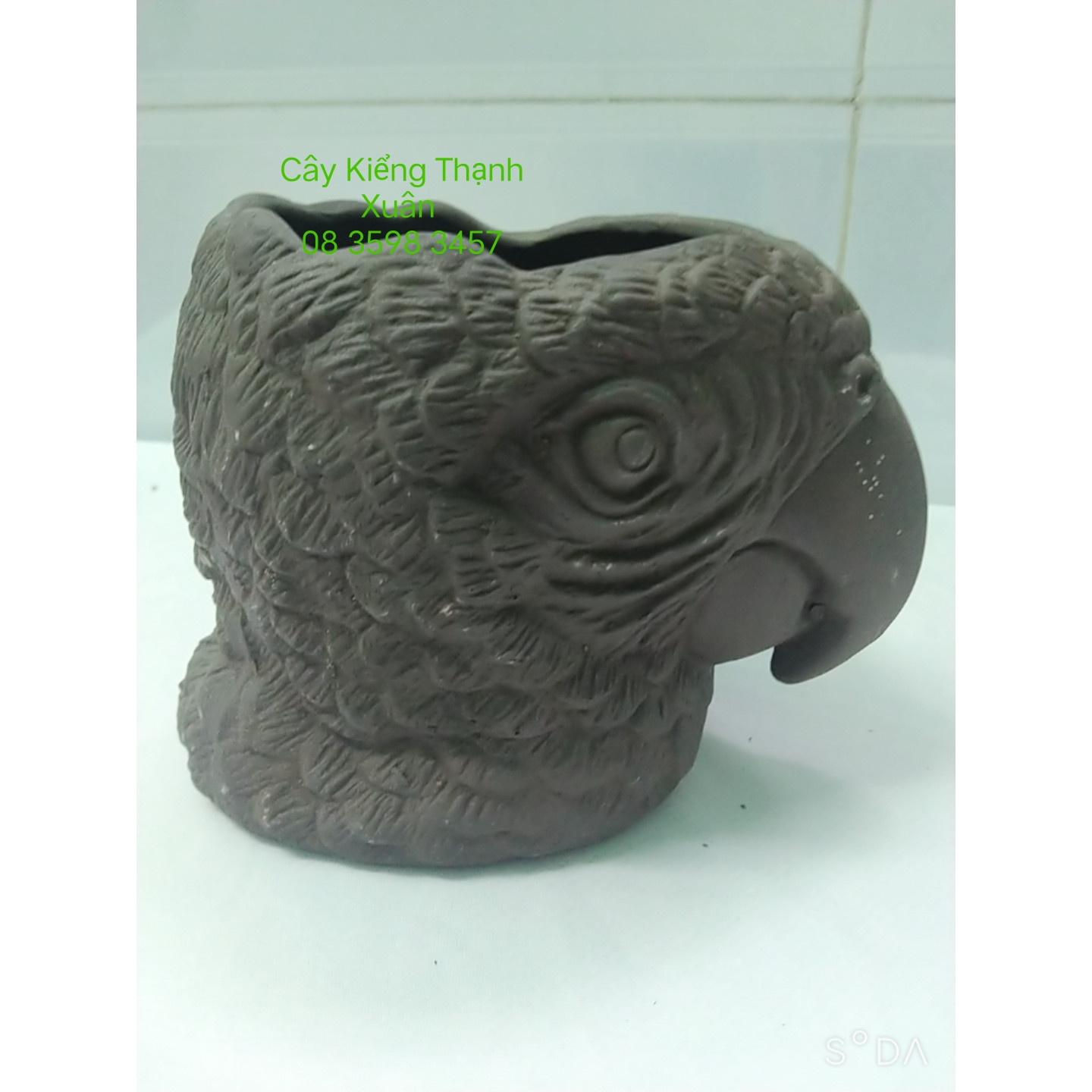 Chậu đất nung trồng cây - Chậu trồng cây sen đá, xương rồng chim két  có lỗ thoát nước