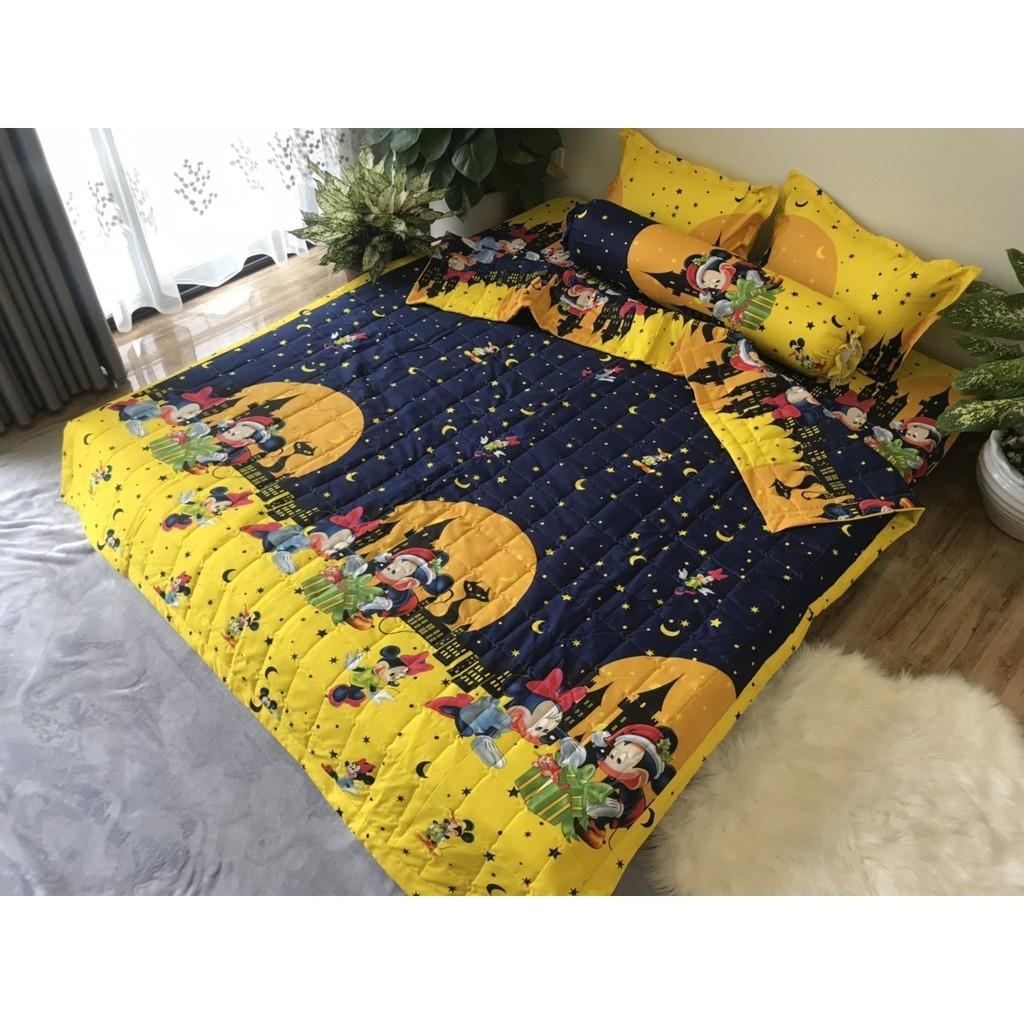 Ga trải giường 1m6x2m bọc đệm dày 10-15-20cm