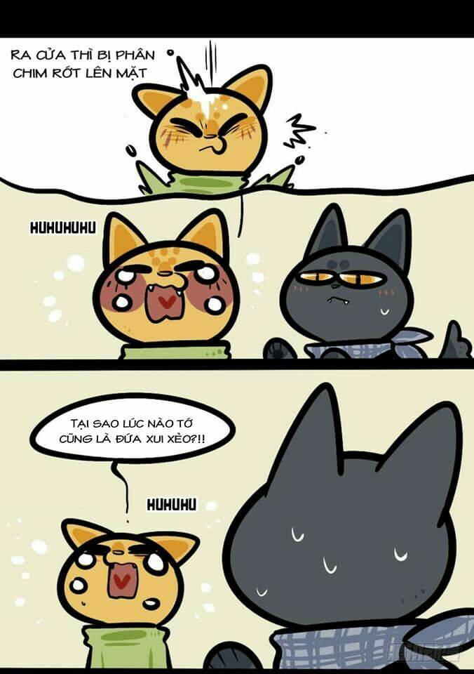 đời không như mình tưởng chapter 18 2
