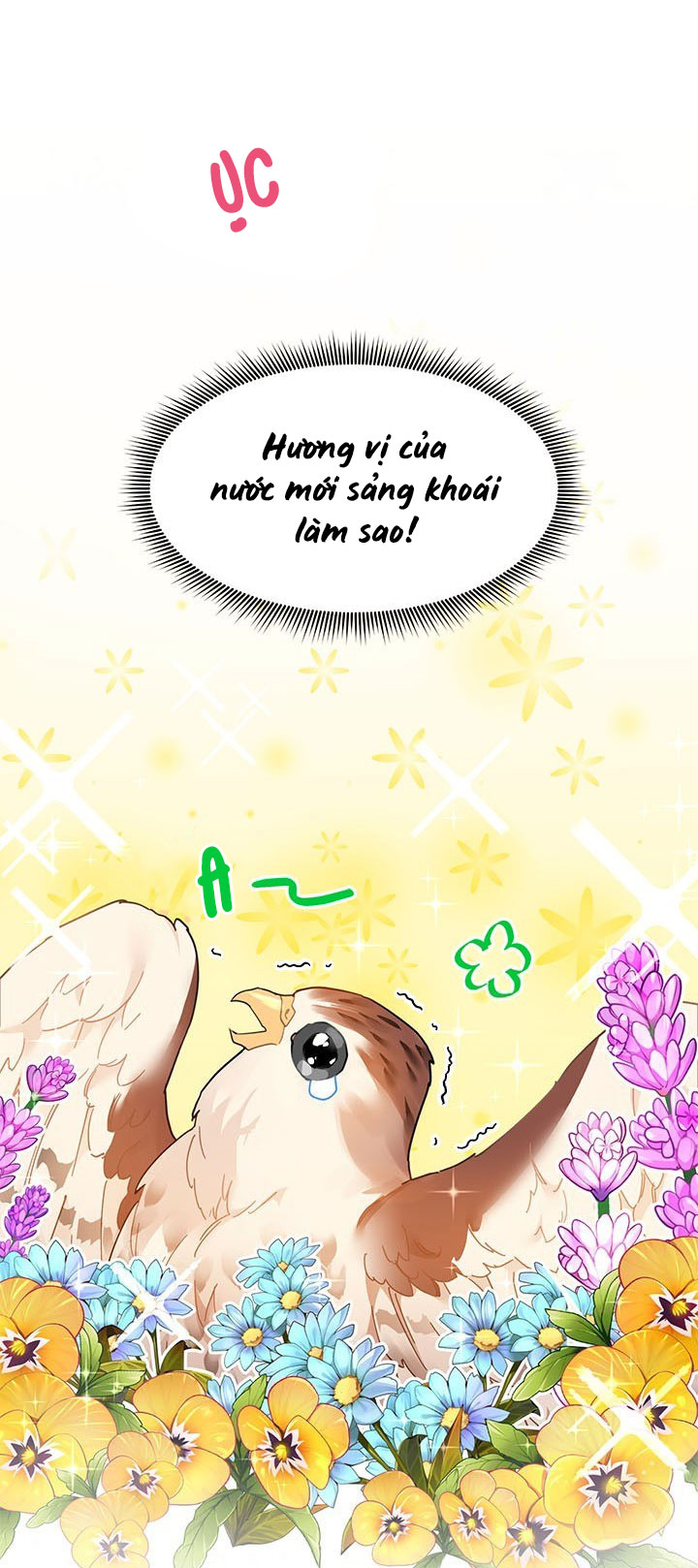 công chúa của loài chim chapter 2 3