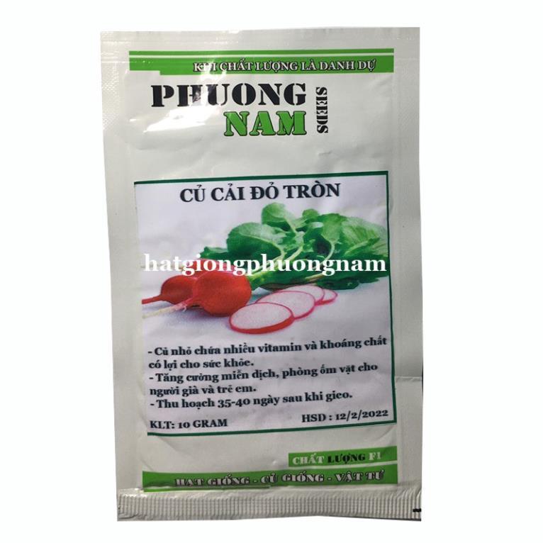 2GR - HẠT GIỐNG CỦ CẢI ĐỎ