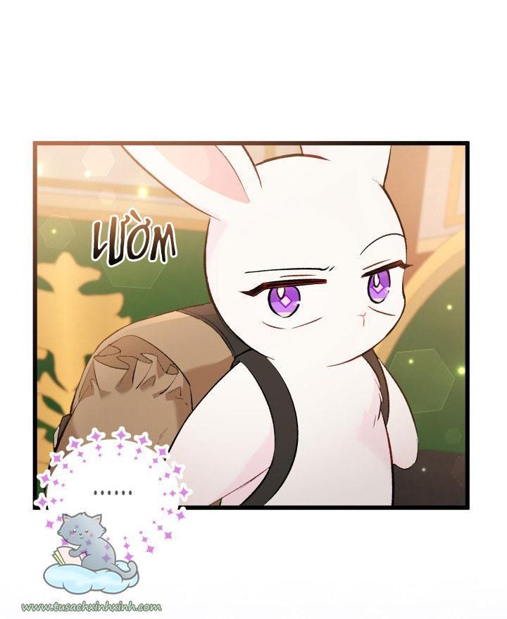 quan hệ cộng sinh giữa báo đen và thỏ trắng chapter 62 12