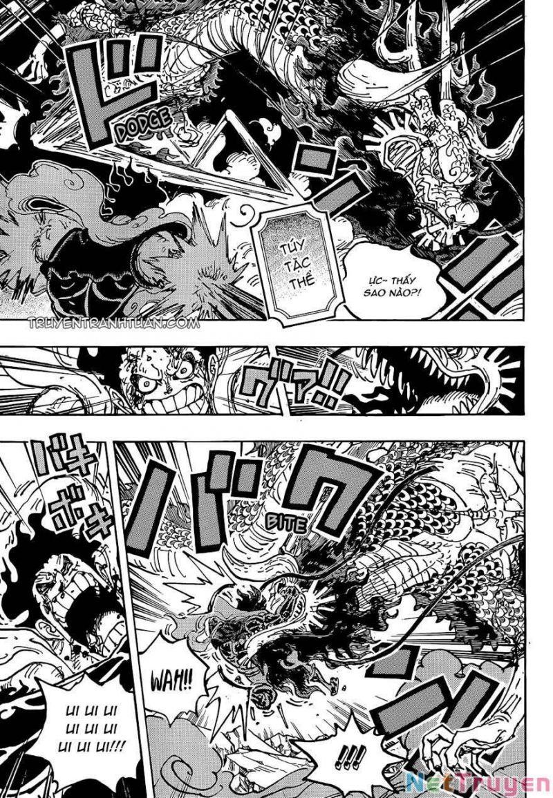 đảo hải tặc - one piece chapter 1042 7