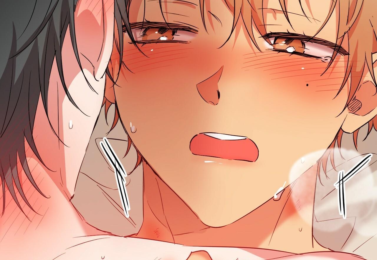 đàn thỏ của habibi chapter 54 236