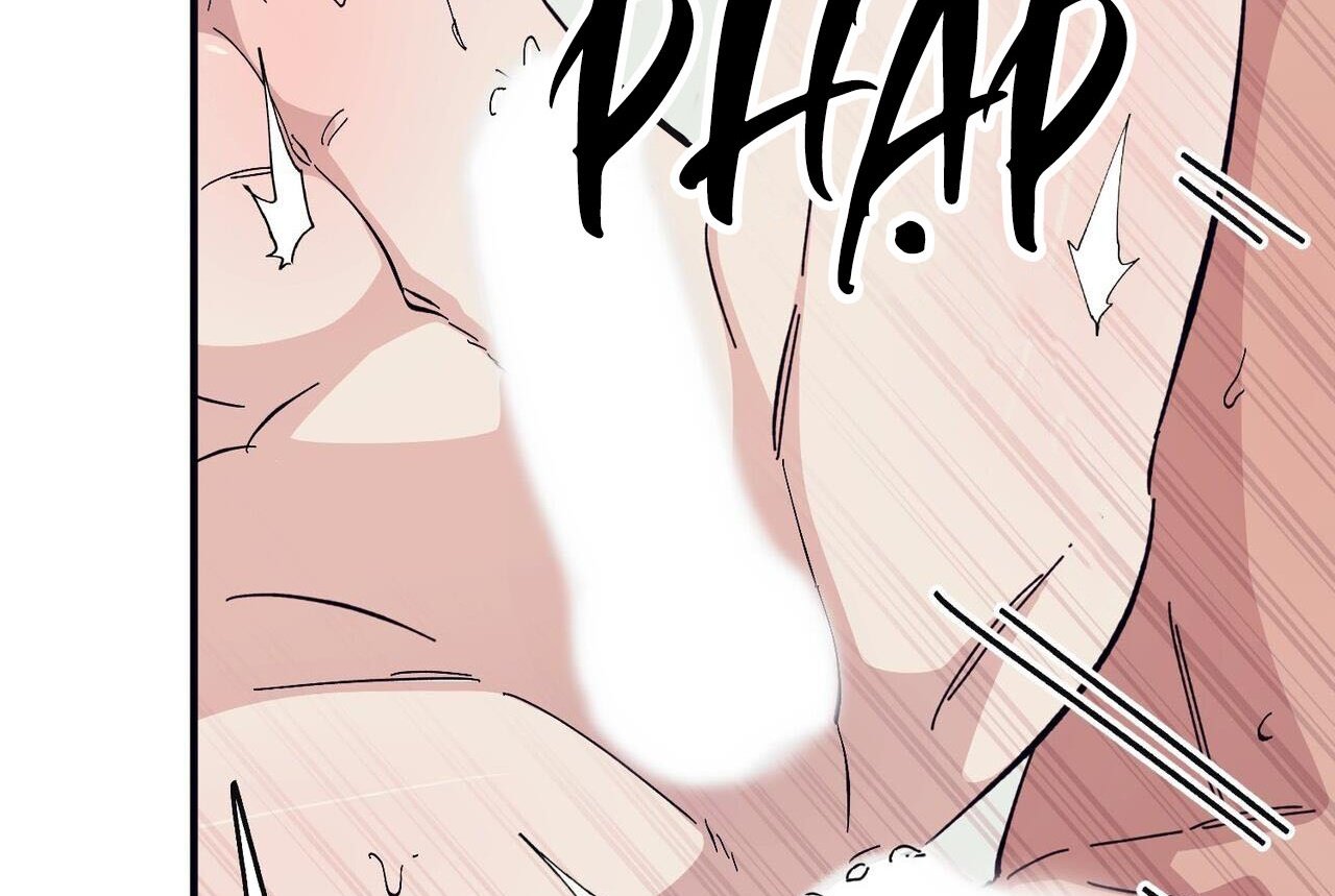 chàng dâu nhà họ kang chapter 46 28