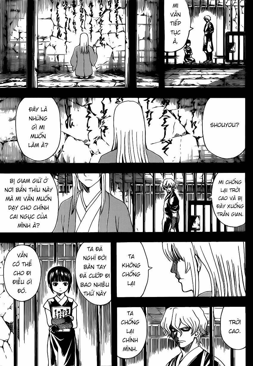 gintama - linh hồn bạc chapter 523 13
