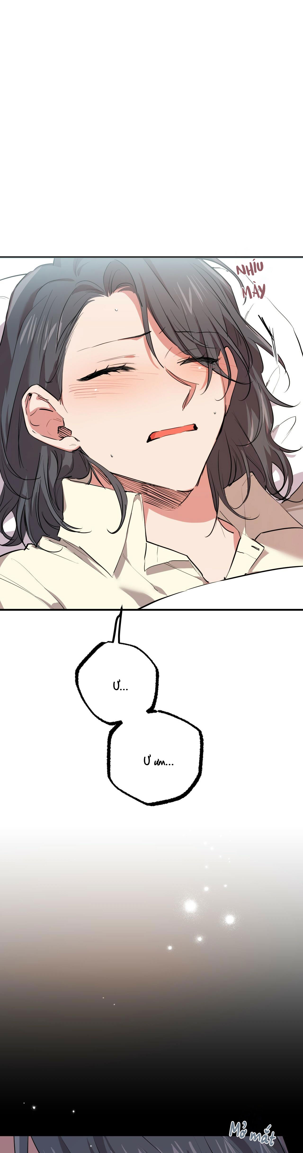 những chú thỏ của hapypy chapter 31 49