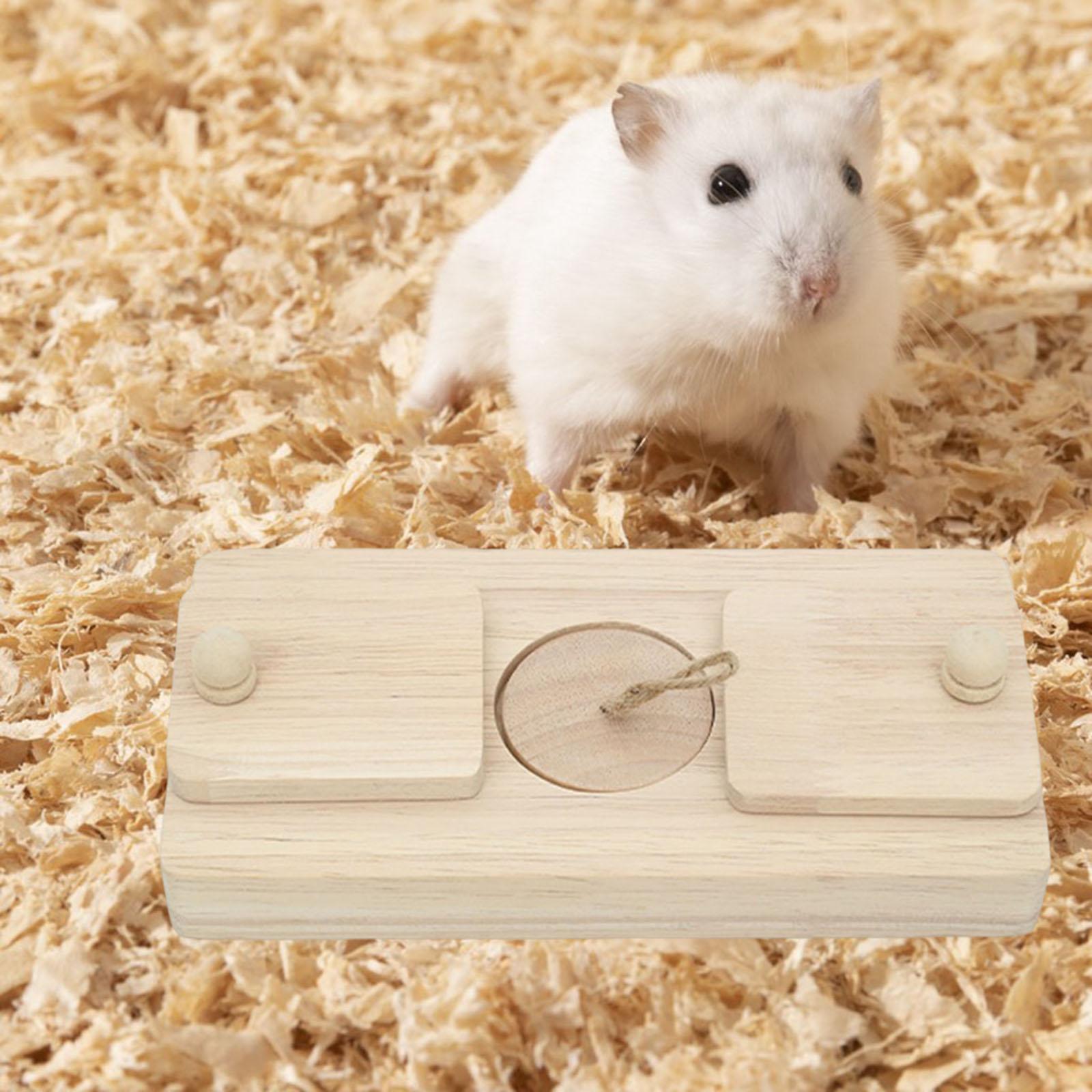 Hide Treats Foraging Toy Foraging Toys for Golden Bear Guinea Rats