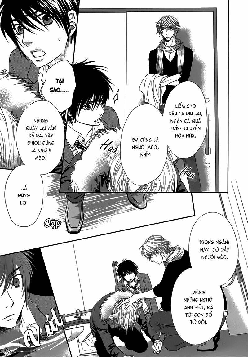 nekoka danshi no shitsukekata chapter 11 27