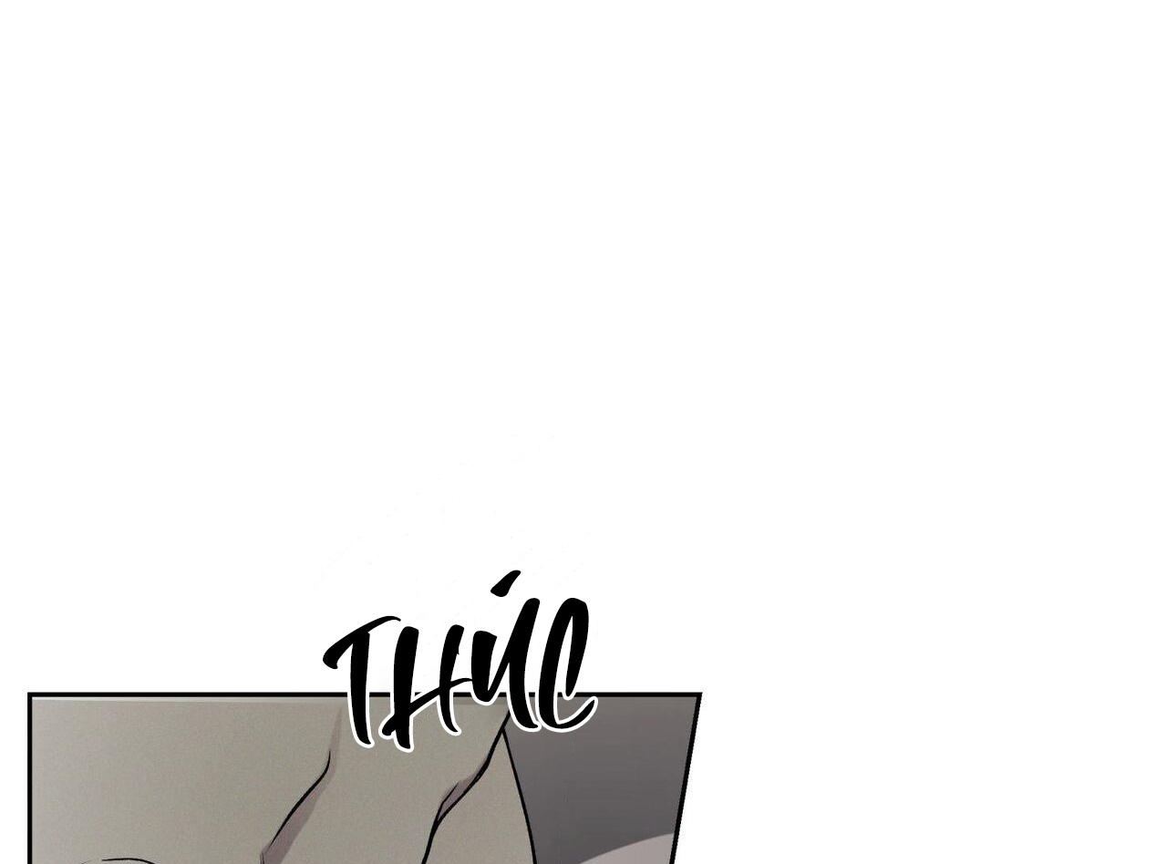 chàng giao pizza và gold palace chapter 46 33