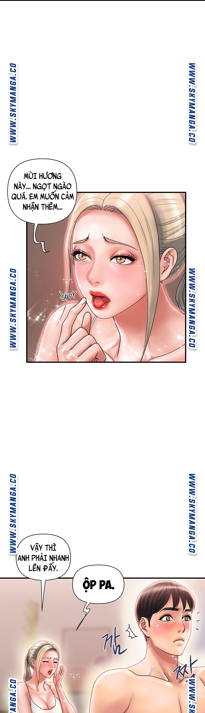 chất dẫn dục chapter 9 25