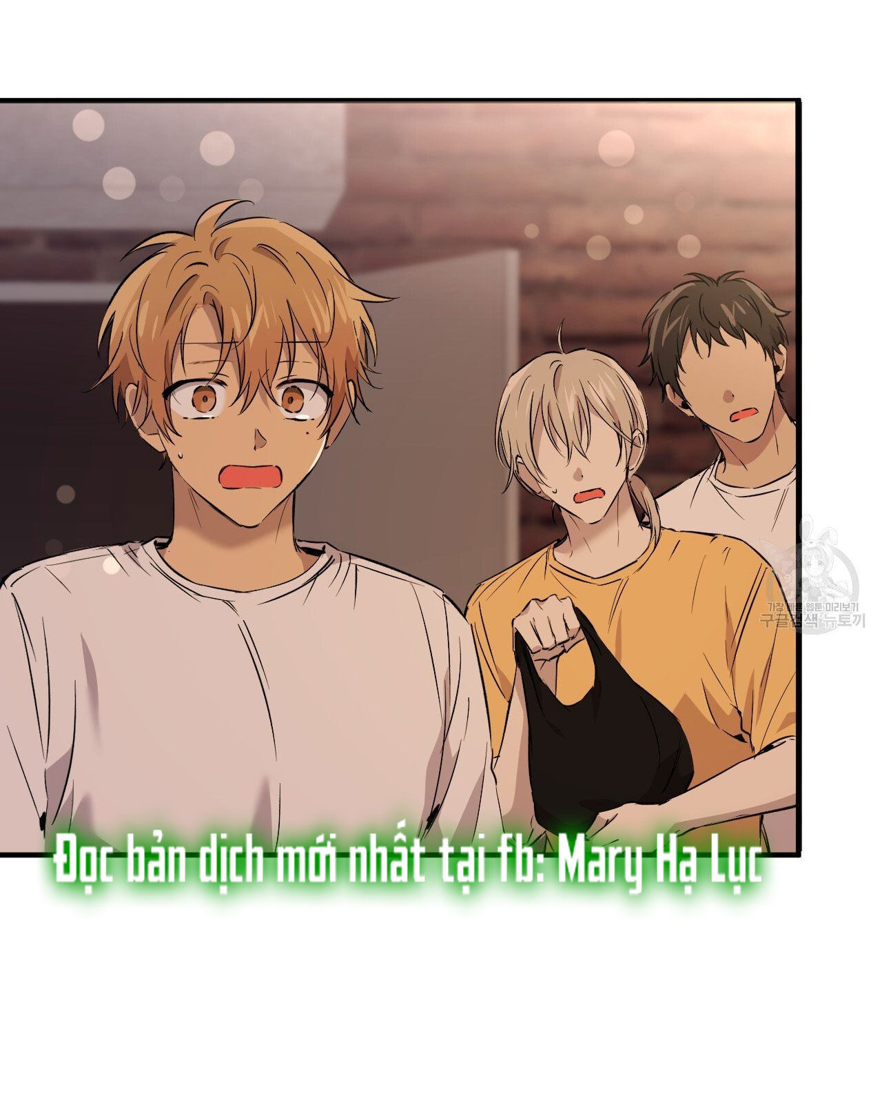 những chú thỏ của hapypy chapter 57.2 45