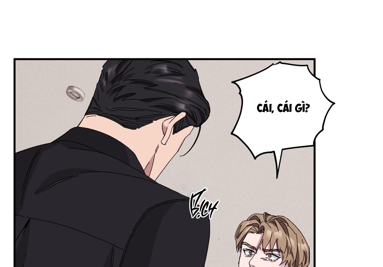 chàng dâu nhà họ kang chapter 33 161