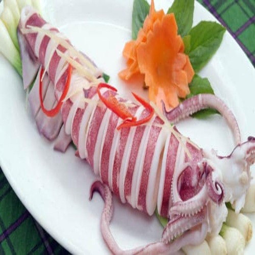 Khay Mực Ống Nguyên Con size 500gr