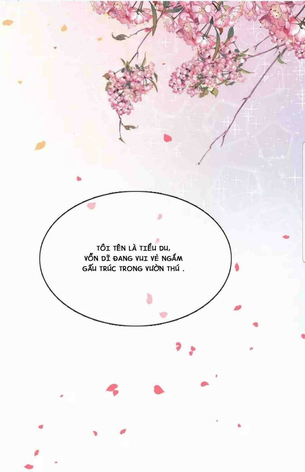 xuyên về cổ đại làm quốc bảo chapter 1 10