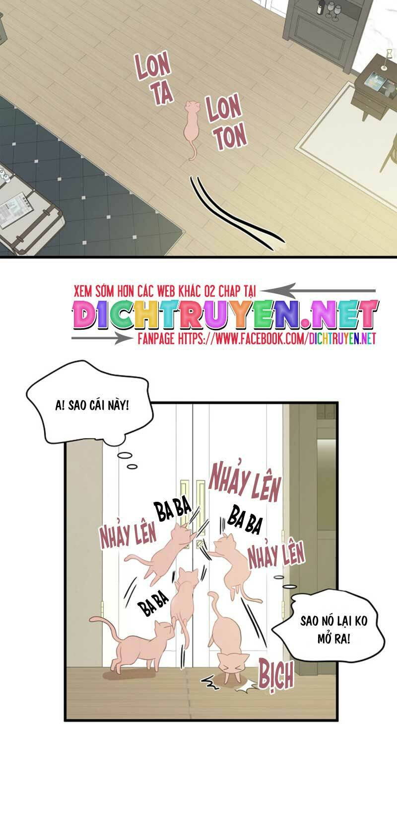 cuộc sống kỳ thú chapter 8 38