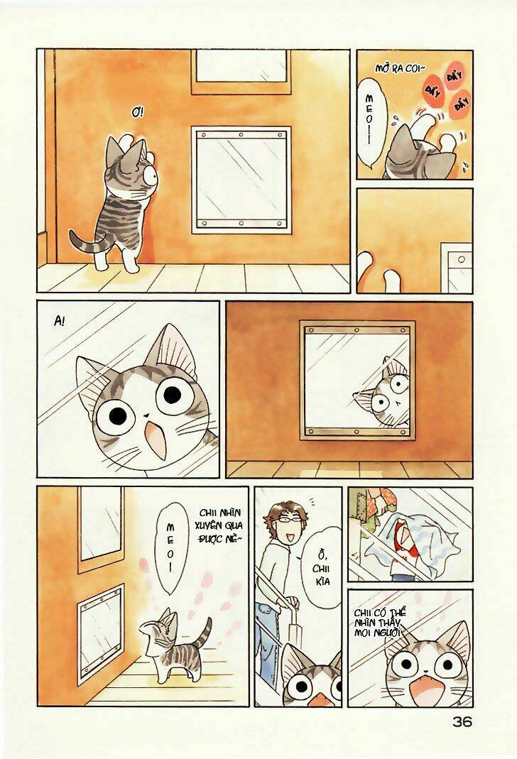 chi's sweet home chapter 79 3