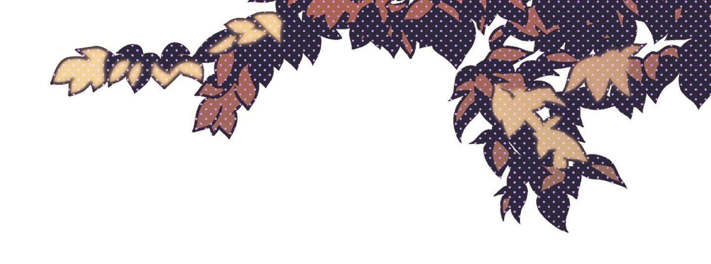 định rõ mối quan hệ chapter 67 261