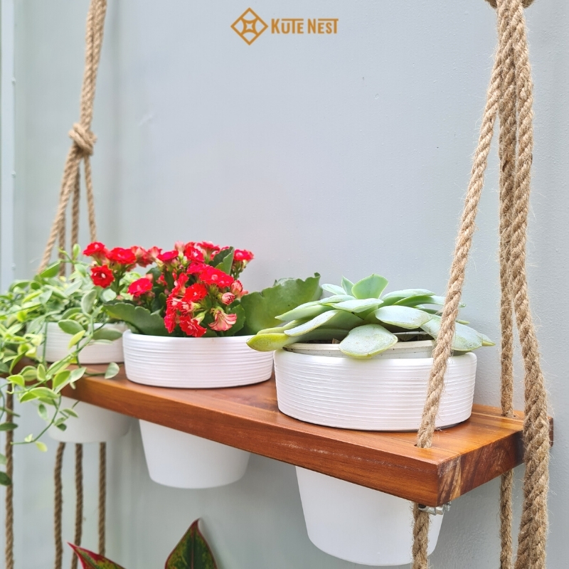 [Kute Nest] Kệ gỗ treo 3 tầng 9 chậu gốm trồng cây trang trí nhà cửa - Có 2 màu lựa chọn - Màu trắng